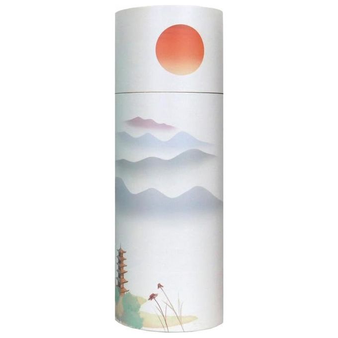 New Majestic 120454 JL Lampada da Tavolo LED Ricaricabile Touch IP54 Multicolore