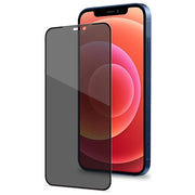 Celly Pellicola Privacy 3D Full per iPhone 12 Pro Max Nero