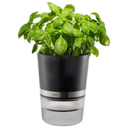 Gefu Botanico Vaso Erbe Aromatiche