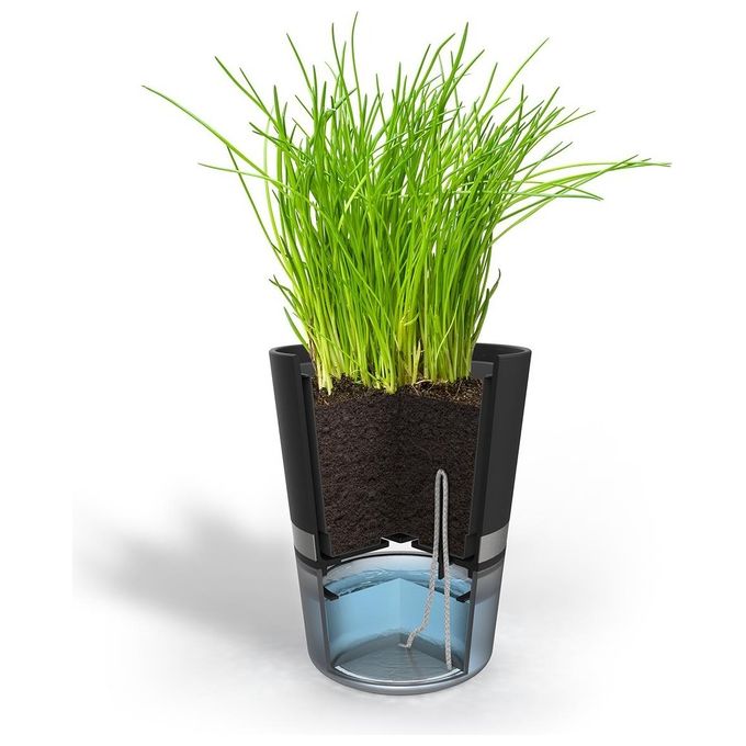 Gefu Botanico Vaso Erbe Aromatiche