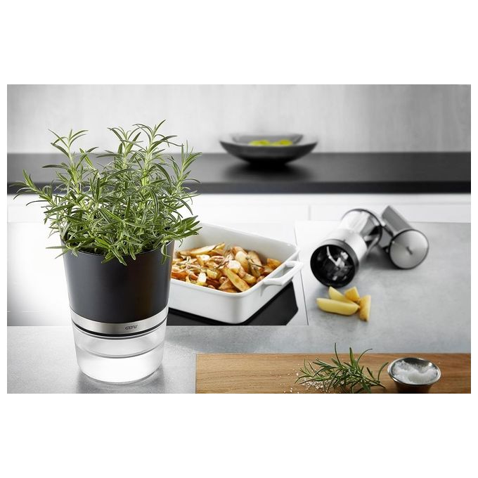 Gefu Botanico Vaso Erbe Aromatiche