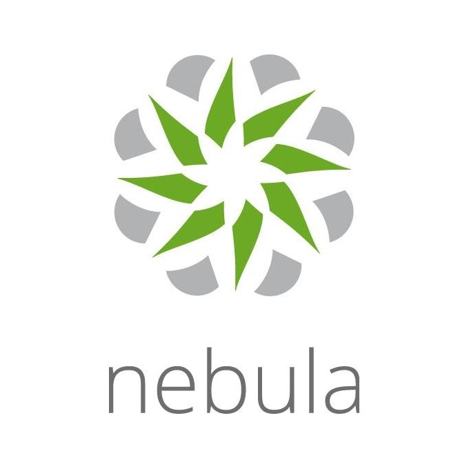 Zyxel LIC-NPRO-ZZ1Y00F Nebula Professional Pack Licenza Cloud Management per Dispositivo 1 anno