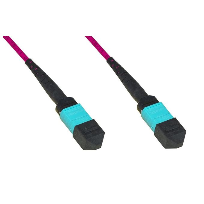 Link Cavo Fibra Ottica Mpo-Mpo Femmina-Femmina 12 Fibre Om4 Metodo A 2mt Tipo B