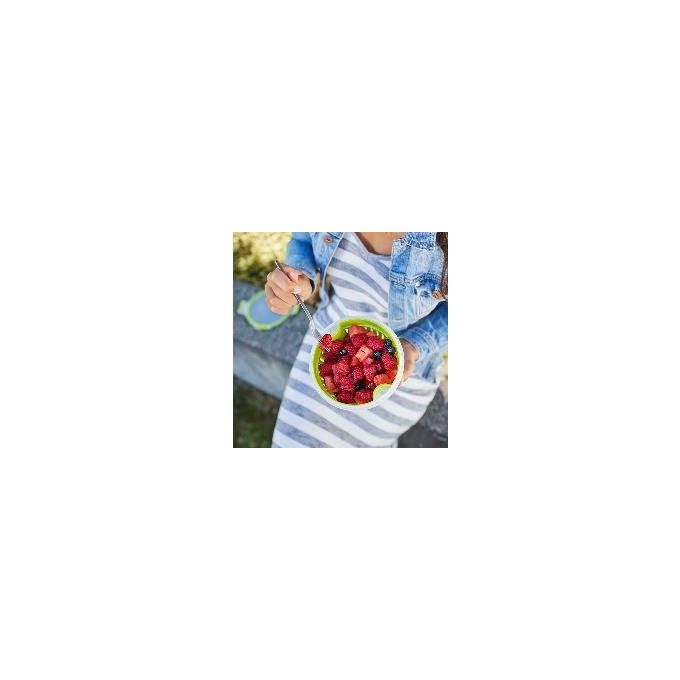 Emsa ClipeGo Contenitore per Frutta 1.1 Litri