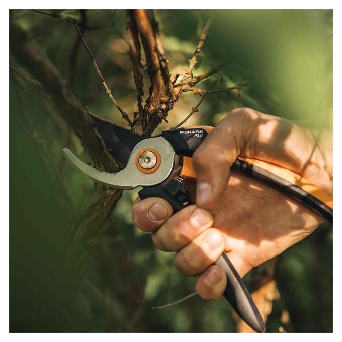 Fiskars Forbici da Potatura Bypass L Solid P341