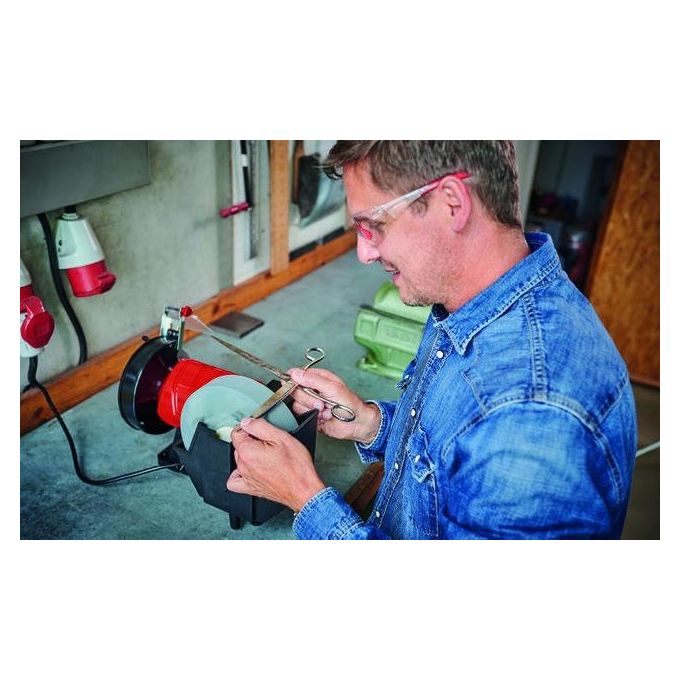 Einhell TC-WD 200-150 Smerigliatrice da Banco Combinata Umido Secco 2980 rpm 2 Mole colore Nero Rosso