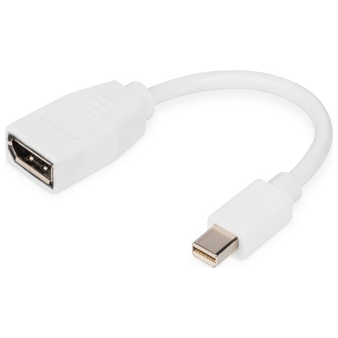 Digitus DB-340405-001-W Cavo Adattatore Mini DisplayPort DP 1.2 UHD 4K 60Hz 0,15 m colore Bianco