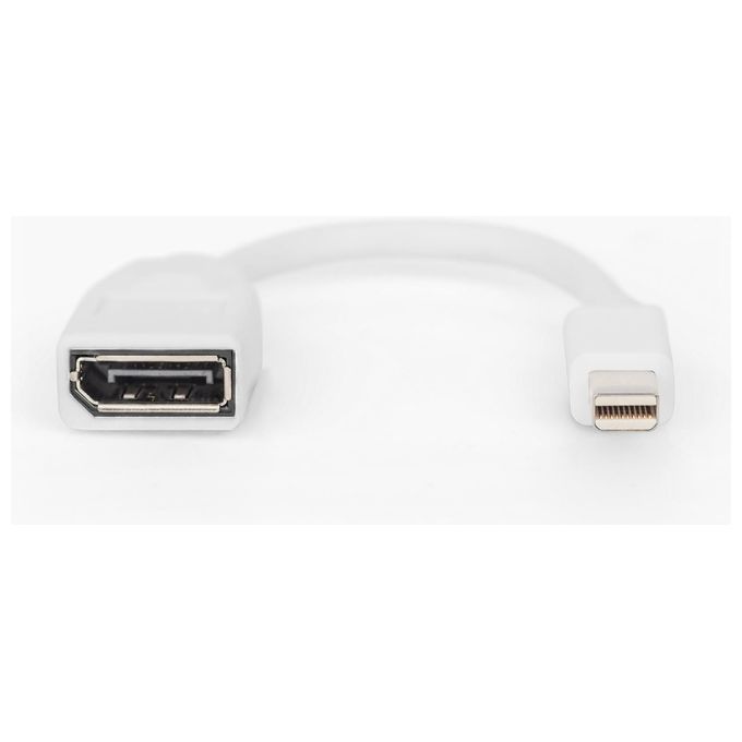 Digitus DB-340405-001-W Cavo Adattatore Mini DisplayPort DP 1.2 UHD 4K 60Hz 0,15 m colore Bianco