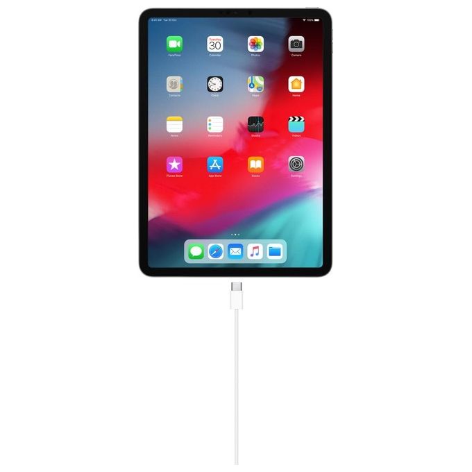 Apple Cavo di Ricarica Usb-C a Usb-C 1mt