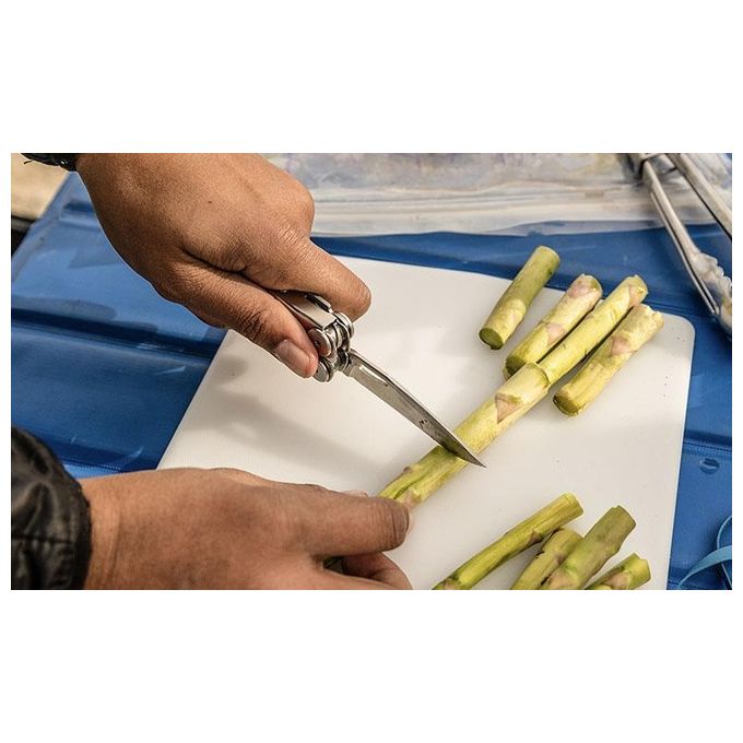Leatherman LTG832932 Curl Multitool Tascabile 15 Strumenti Acciaio Inossidabile con Fodero in Nylon colore Argento