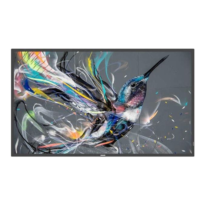 Philips 50BDL3511Q Display 50'' Q-Line Digital Signage 4K Ultra HD 500 cd-m² Direct-LED 18-7 colore Nero