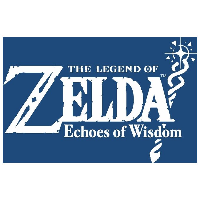 Nintendo NIN10013821 The Legend of Zelda Videogioco Avventura per Nintendo Switch Lingue ITA Tedesca DUT Inglese ESP Francese Classificazione PEGI 7 colore Nero