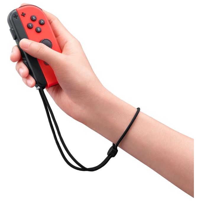 Nintendo 10008521 Switch Sports Videogioco Nintendo Switch Sport Multiplayer Online PEGI 7 Supporto fisico