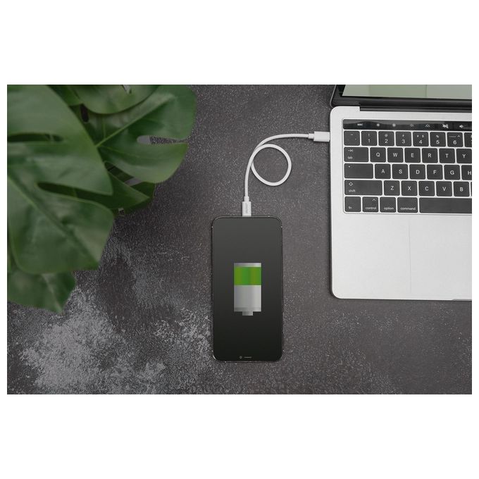 Digitus Cavo di Ricarica Dati Usb-C Lightning Mfi