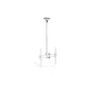 Jolly Line Supporto A Colonna C- 1 Piano Cristallo Temperato
