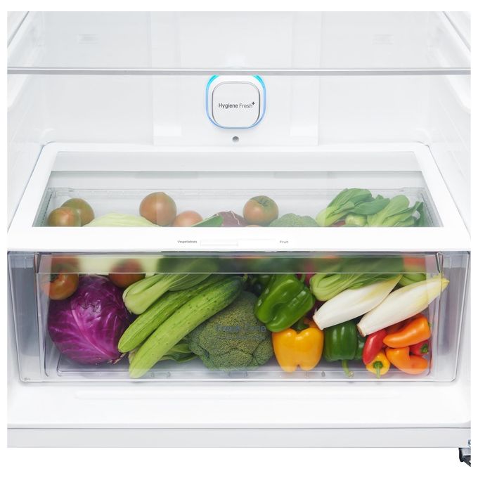 LG GTB744BMBED Frigorifero Doppia Porta 506 L 180 cm Classe E 43 dB Total No Frost Door Cooling Linear Cooling colore Nero