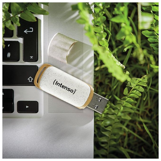 Intenso USB Flash Drive 3.2 128Gb Green Line