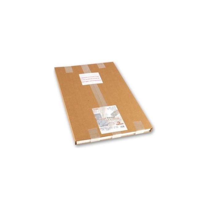 Canson Confezione 12 5ff Opaca Ultra Bianca cad a1