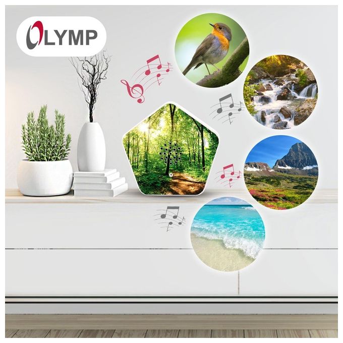 Olympia Sounds of Nature Box