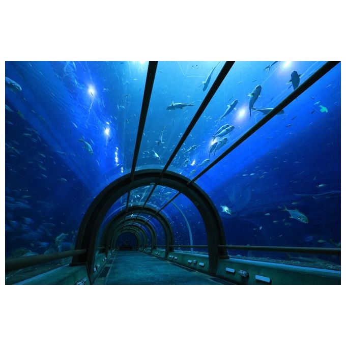 Canon 6262C005 RF-S 10-18 mm f4.5-6.3 IS STM Obiettivo con zoom grandangolare per fotocamere mirrorless APS-C colore Nero