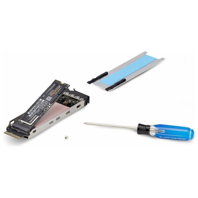 StarTech TR-M2-REMOVABLE-PCIE Vassoio per unita' SSD M.2 NVMe Supporto aggiuntivo Hot Swap con Chiusura a Chiave 2230 2242 2260 2280 colore Nero Argento