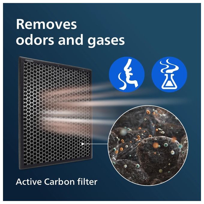 Philips FY2420-30 NanoProtect Filtro a Carboni Attivi per Purificatore d'Aria Serie 2000 3000 Durata 12 mesi colore Nero