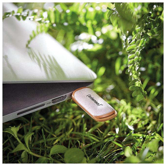 Intenso USB Flash Drive 3.2 128Gb Green Line