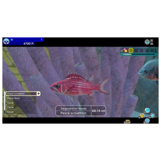 Nintendo Endless Ocean Luminous Videogioco Nintendo Switch con 7 Giorni Nintendo Switch Online Edizione Italiana PEGI 3
