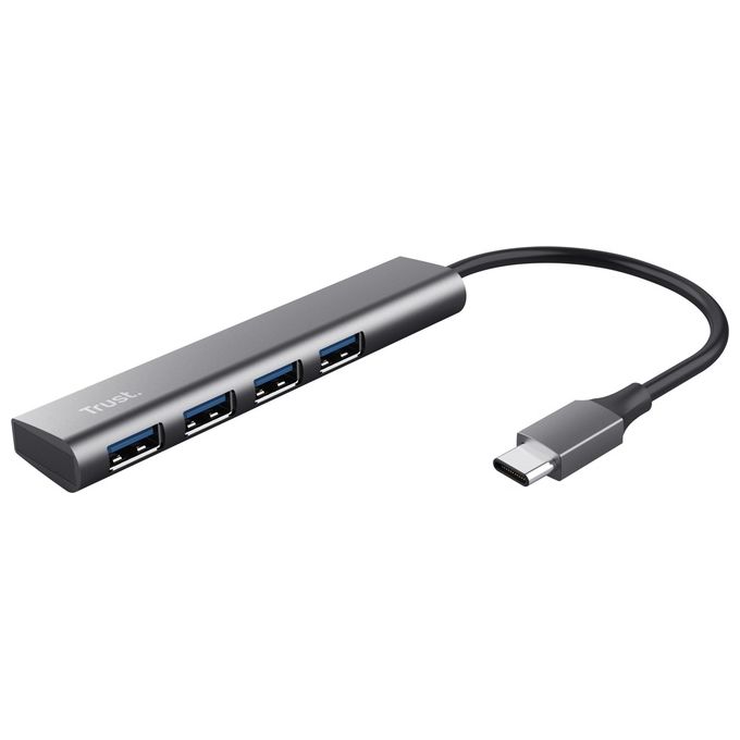 Trust Halyx USB 3.2 Gen 1 Type-A 5 Mbit-s Grigio
