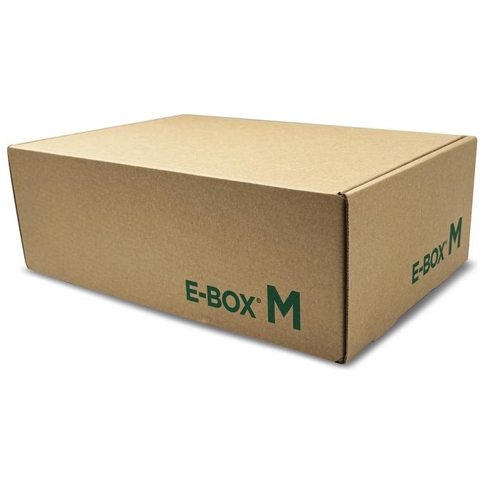 Blasetti Confezione 10 Scatole E-Box M 360x240x120mm