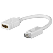 Link adattatore mini dvi maschio hdmi femmina