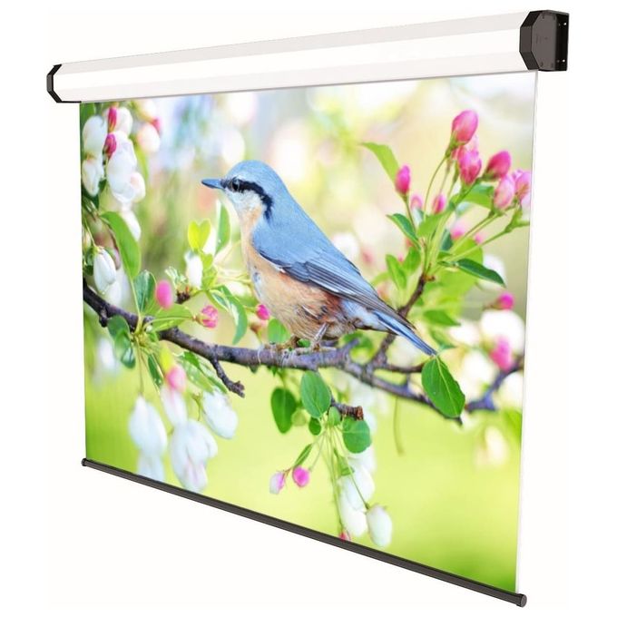 Sopar EL PROFESSIONAL Schermo per proiezione motorizzato 240x150 cm 16:10 diagonale 111'' angolo visivo 150° con motore elettrico e tela in PVC ignifugo colore Bianco