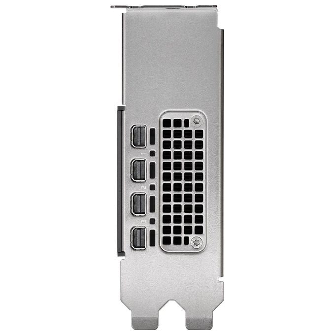 PNY VCNRTX2000ADA-SB RTX 2000 Ada Scheda Video 16 GB GDDR6 PCI Express 4.0 x8 4 x Mini DisplayPort Low Profile Dual Slot colore Nero