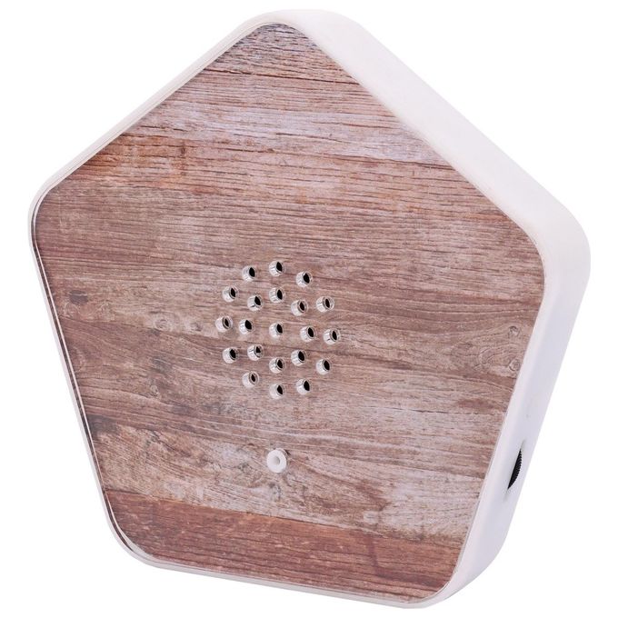Olympia Sounds of Nature Box
