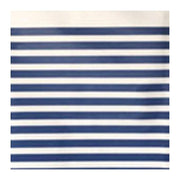 Aglaia Tenda Doccia Peva 180x200cm Righe Blu