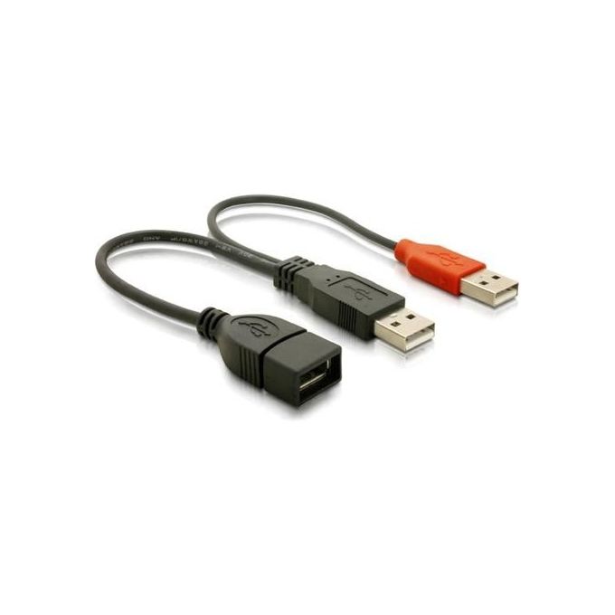 Link Sdoppiatore Usb ''A'' Femmina, 2 x ''A'' Maschio 22,5cm