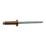 Blinky Rivetti Rame Scatole Pezzi 1000 3.4x16mm