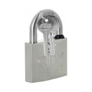 Iseo CITY 60 Lucchetto a Chiave con Arco in Acciaio Inox 3 Chiavi Piatte Numerate Garanzia 10 Anni colore Nichelato
