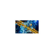 LG LSBE018 LEDwall Indoor Front Service P1.8 mm 600 cd-m² colore Nero