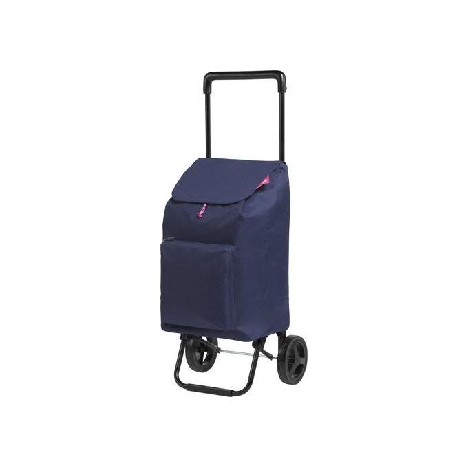 Gimi CARSPARGO-BL Argo Carrello Portaspesa Pieghevole 42 lt 30 Kg con Tasca Esterna e Ruote Gommate colore Blu