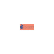 Focus Testata Refrattario CLF 60x60 C-F Accessorio Stufa Camino 60x60 cm