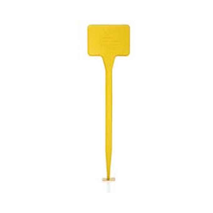 Erba Portaprezzo vasi Giallo cm 4,0x5 h 20