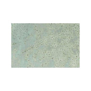 Arcansas Lamiera Liscia 200x500 mm Spessore 0,5 mm Naturale