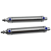 IONQXIDLD Minicilindro in Acciaio Inox Serie DSEU