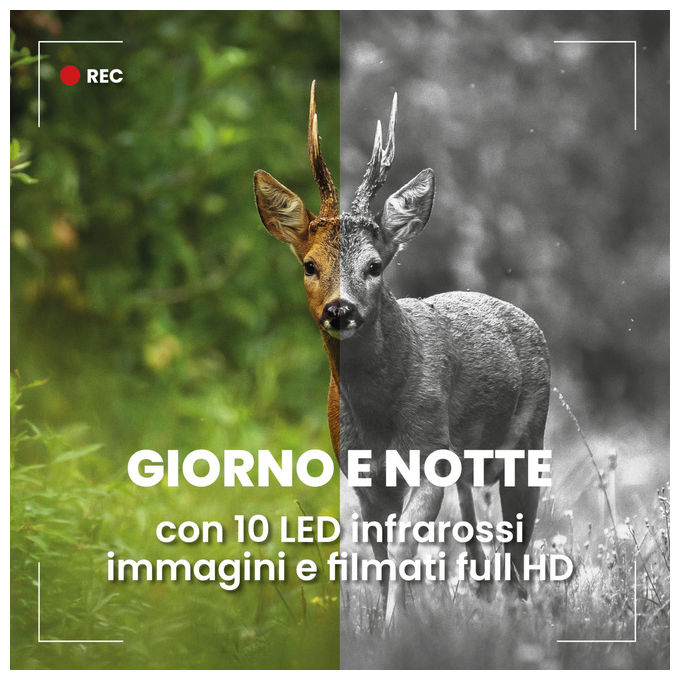 Midland, Fototrappola Wild Guardian, Videocamera 1080p, 20MP, Visione Notturna con LED Infrarossi