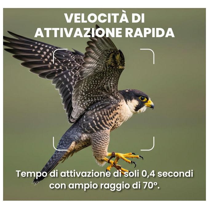 Midland, Fototrappola Wild Guardian, Videocamera 1080p, 20MP, Visione Notturna con LED Infrarossi