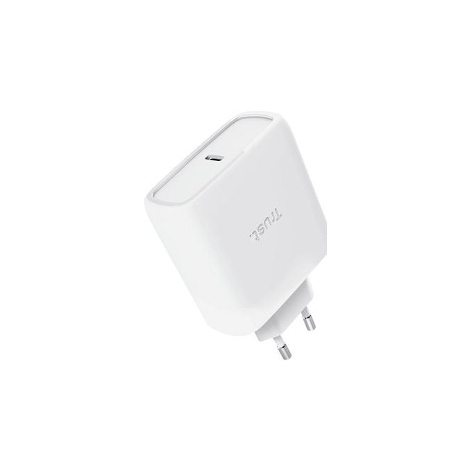 Trust Caricabatteria USB-C GaN 65W Ricarica Rapida con Cavo 2m Bianco