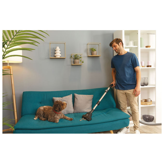 Hoover HP321PAF 011 Aspirapolvere a Traino Senza Sacco