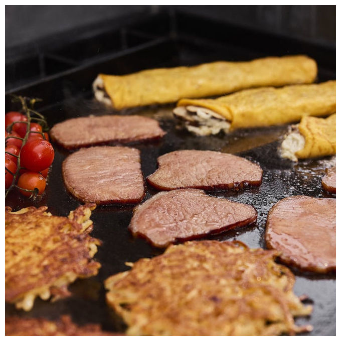 Weber E-425W Barbecue a Gas GPL Nero in Acciaio Inox