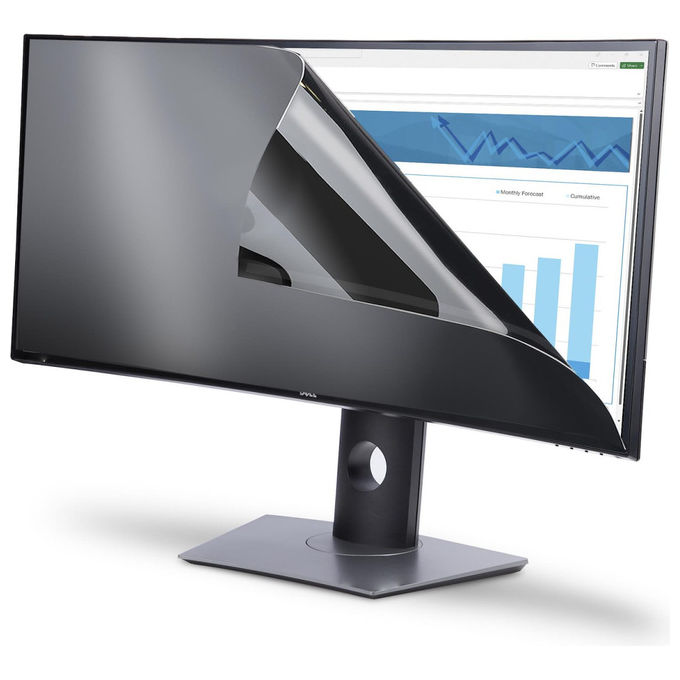 StarTech.com, Filtro Privacy Curvo, Per Monitor Dell P3424WE Ultrawide 21:9, Reversibile Opaco-Lucido